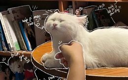 Trào lưu chỉnh ảnh 'vẽ doodle bằng AI' gây tranh cãi