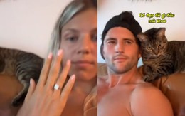 Những chú mèo 'dính ông chủ như sam'