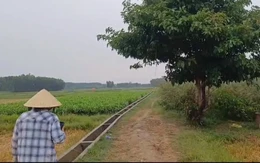 Mưa dông, một nông dân đi làm ruộng bị sét đánh tử vong