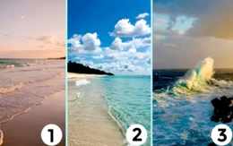 Quiz: Bạn sở hữu cá tính mạnh mẽ và bản lĩnh vững vàng?