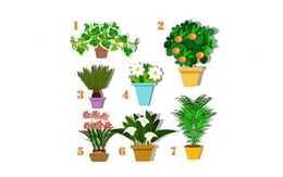 Quiz: Bạn có tài năng tiềm ẩn nào?