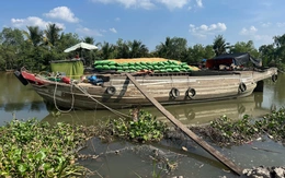 Tàu gỗ va chạm vỏ lãi trên sông Trà Tân, 1 người chết