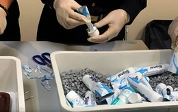 Chuyên án VN10: Truy tố 227 bị can, trong đó có ca sĩ Chi Dân, An Tây