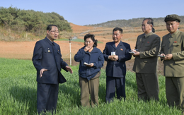 Hạn hán nghiêm trọng lan rộng, Triều Tiên huy động toàn quốc ứng phó