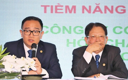 Lợi nhuận Hóa chất Đức Giang 'bốc hơi' mạnh sau khi lãnh đạo bị bắt