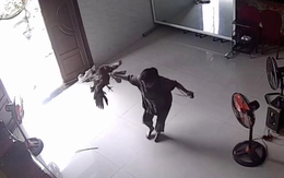 Gà trống hổ báo và cái kết cả nhà có bữa trưa ngon miệng