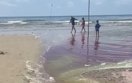 Nước biển Vũng Tàu đổi màu lạ, du khách e ngại không dám tắm
