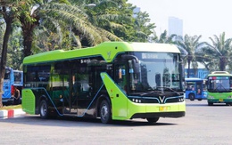 Xe buýt miễn phí: đầu tư cho tương lai