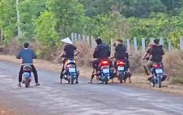 30 thanh niên 'làm xiếc' với xe máy trên đường ở Gia Lai bị phạt 110 triệu đồng