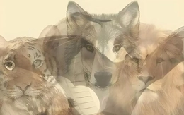 Quiz: Bạn nổi bật với tính cách gì?