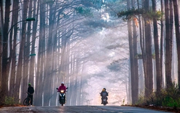 Những cung đường bồng bềnh Đà Lạt mùa săn mây