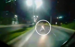 Đi ngược chiều trên quốc lộ, người đàn ông bị xe khách tông chết