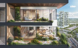 Khám phá Forest Onsen: Sản phẩm onsen trị liệu mỗi ngày từ Ecopark