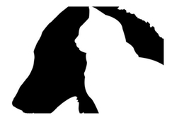 Quiz: Bạn là người khiêm tốn hay kiêu hãnh?