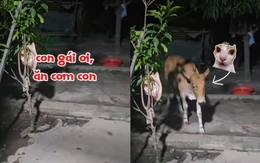 Bố gọi 'con gái' vào ăn cơm như bình thường nhưng lại khiến dân mạng bất ngờ