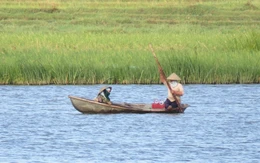 Nhà đầu tư đề xuất làm dự án điện mặt trời tại đầm Lâm Bình