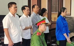 Nữ kế toán của Ban Thi đua - Khen thưởng chiếm đoạt hơn 2,1 tỉ đồng, lãnh 16 năm tù