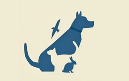 Quiz: Bạn kiên định, hào phóng hay là người thông minh, tinh tế?