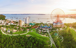 Thị trường chứng khoán