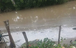 Gần 50 hộ dân kêu 'cứu' suốt một thập kỷ vì bị ô nhiễm môi trường