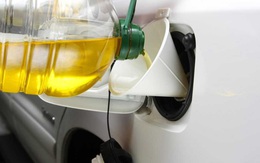 Rủi ro từ trào lưu sử dụng dầu ăn thay dầu diesel tại CH Czech