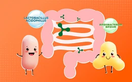 Lối sống lành mạnh bắt đầu từ việc chăm sóc hệ tiêu hoá