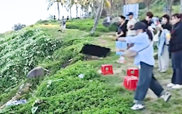 Chính quyền vào cuộc vụ người phụ nữ quăng ghế xuống vực ở bán đảo Sơn Trà