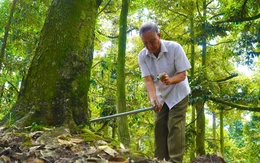 Đề xuất giải pháp đột phá đưa nguồn nước về vùng Ngọt hóa Gò Công