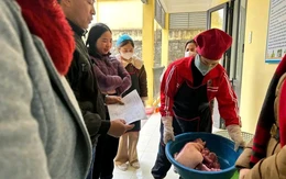 Xử phạt công ty bán thịt lợn nhiễm dịch vào bếp ăn trường mầm non ở Thái Nguyên