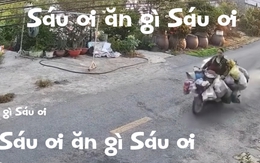 Gánh hàng rong phiên bản tốc độ cao khiến dân mạng bật cười