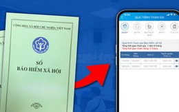 Nghỉ việc mới tá hỏa vì công ty nợ BHXH: Hướng dẫn 3 cách tự kiểm tra quá trình đóng BHXH ai cũng làm được