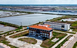 Cà Mau tìm cách ‘cứu’ khu tôm công nghệ cao 9 năm chưa đưa vào hoạt động