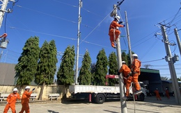 Công ty Điện lực Khánh Hòa huấn luyện định kỳ an toàn điện