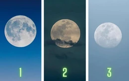 Quiz: Bạn là người tốt bụng, giàu lòng vị tha?