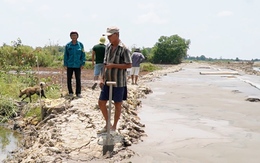 Cà Mau yêu cầu bồi thường vụ cá chết do thi công sân bay trước ngày 29-5
