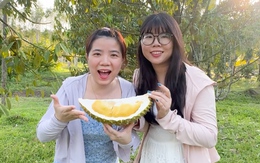 Lý do sầu riêng trồng tại Phú Quốc giá cao, vẫn 'đắt như tôm tươi'