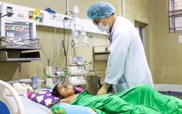 Chơi trốn tìm, bé gái lớp 4 bị ong vò vẽ đốt hơn 70 vết