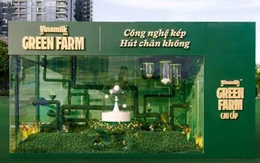 Kiểm soát oxy, giữ trọn hậu vị sữa 20 loại cỏ hoa