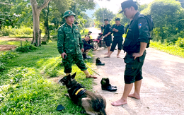 Hơn 100 người cùng chó nghiệp vụ vây ráp vùng rừng biên giới truy bắt nghi phạm giết vợ cũ