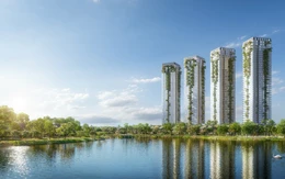 Khám phá các dòng khoáng trong tổ hợp onsen trị liệu Forest Onsen của Ecopark