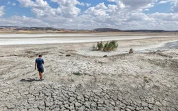El Nino làm gia tăng nguy cơ xảy ra xung đột vũ trang