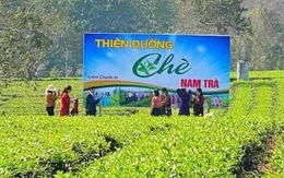 Nông nghiệp bền vững
