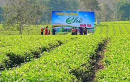 Nông nghiệp bền vững