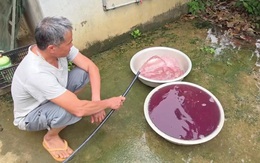 Vụ nước giếng đổi màu tím ở Thanh Hóa: Xử phạt doanh nghiệp hơn 1,5 tỉ đồng