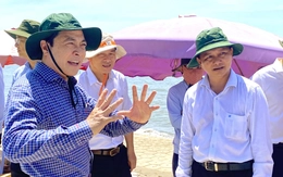 Quy hoạch bãi biển Ba Động thành địa điểm du lịch hấp dẫn