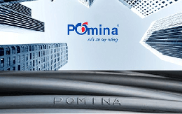 Báo cáo tài chính hé lộ 'mối quan hệ' giữa Vingroup và Pomina