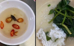 Xác minh thông tin thức ăn của sinh viên ở trung tâm giáo dục quốc phòng có dòi, gián và sâu