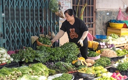 Hơn 963.000 người nộp thuế 'bỏ' địa chỉ kinh doanh, vì sao?