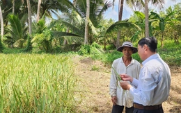 Vụ 77 viên chức Trung tâm khuyến nông bị 'treo' lương: Chi trả tính từ tháng 3-2026