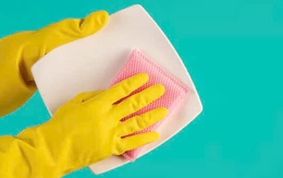 Sự thật về tin đồn miếng bọt biển rửa chén gây ung thư